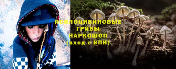 2c-b Абинск